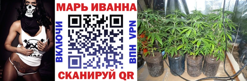 Где найти наркотики Николаевск APVP Псилоцибиновые грибы COCAIN Меф мяу мяу Гашиш Конопля