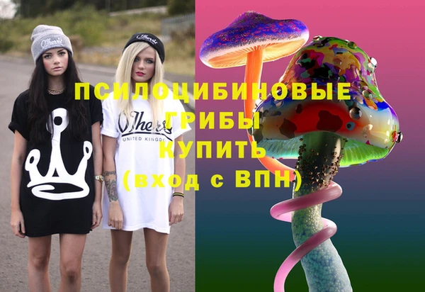 PSILOCYBIN Наволоки