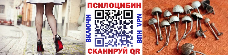 hydra как зайти цена наркотик Николаевск Галлюциногенные грибы мицелий